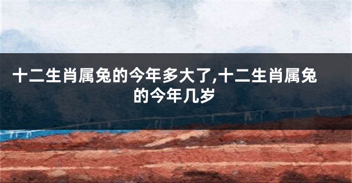 十二生肖属兔的今年多大了,十二生肖属兔的今年几岁