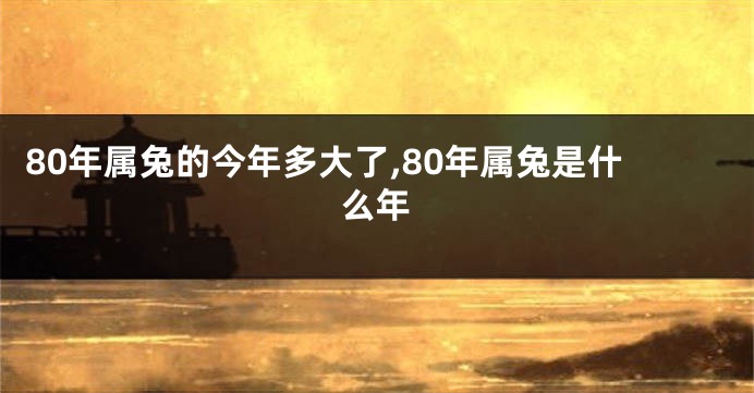 80年属兔的今年多大了,80年属兔是什么年