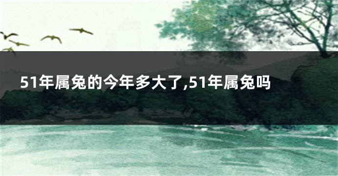 51年属兔的今年多大了,51年属兔吗