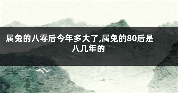 属兔的八零后今年多大了,属兔的80后是八几年的