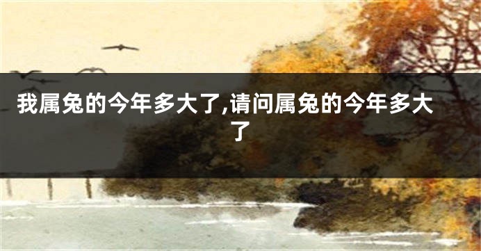 我属兔的今年多大了,请问属兔的今年多大了