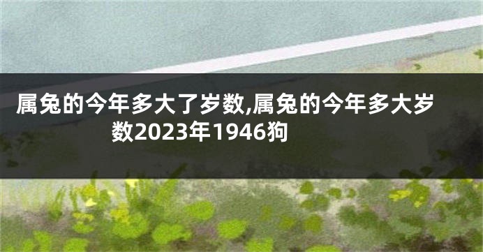属兔的今年多大了岁数,属兔的今年多大岁数2023年1946狗