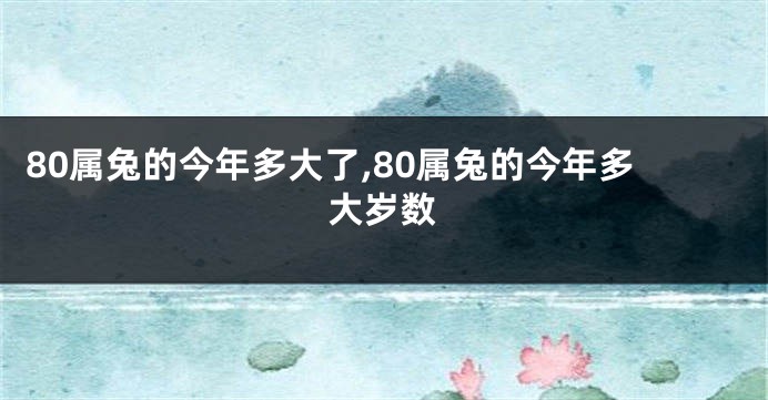 80属兔的今年多大了,80属兔的今年多大岁数