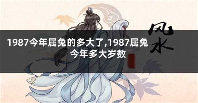 1987今年属兔的多大了,1987属兔今年多大岁数