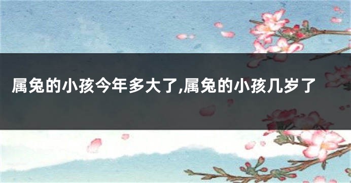 属兔的小孩今年多大了,属兔的小孩几岁了
