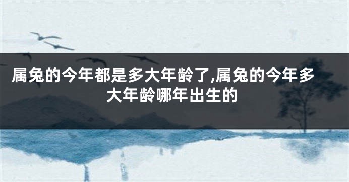 属兔的今年都是多大年龄了,属兔的今年多大年龄哪年出生的