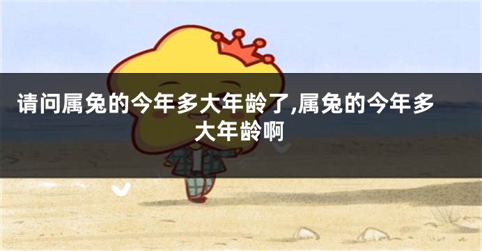 请问属兔的今年多大年龄了,属兔的今年多大年龄啊
