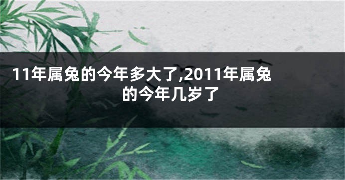11年属兔的今年多大了,2011年属兔的今年几岁了