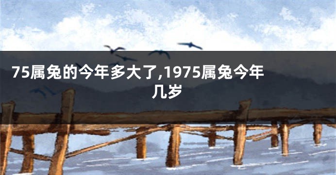 75属兔的今年多大了,1975属兔今年几岁