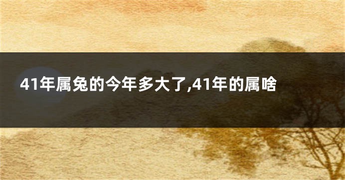 41年属兔的今年多大了,41年的属啥