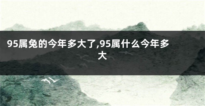 95属兔的今年多大了,95属什么今年多大