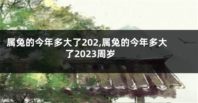 属兔的今年多大了202,属兔的今年多大了2023周岁