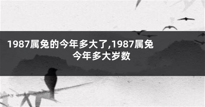 1987属兔的今年多大了,1987属兔今年多大岁数