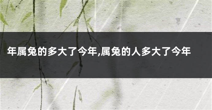 年属兔的多大了今年,属兔的人多大了今年
