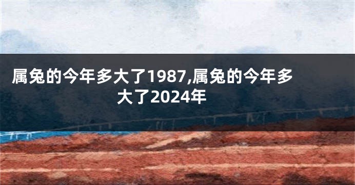 属兔的今年多大了1987,属兔的今年多大了2024年