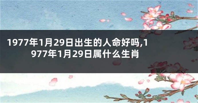 1977年1月29日出生的人命好吗,1977年1月29日属什么生肖