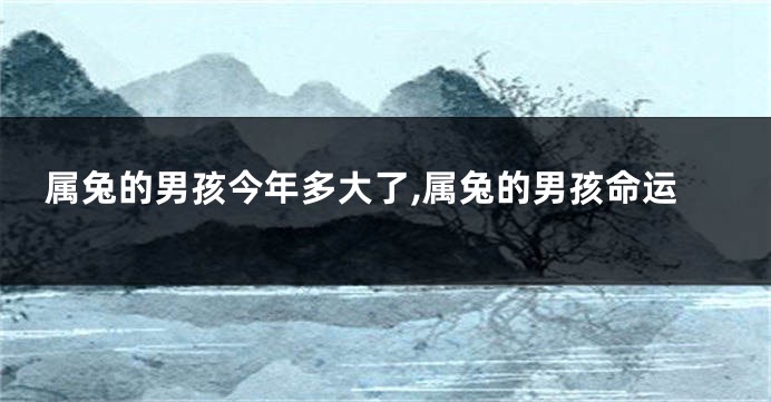 属兔的男孩今年多大了,属兔的男孩命运