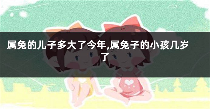 属兔的儿子多大了今年,属兔子的小孩几岁了