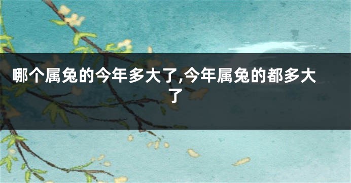 哪个属兔的今年多大了,今年属兔的都多大了