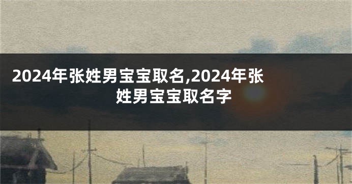 2024年张姓男宝宝取名,2024年张姓男宝宝取名字