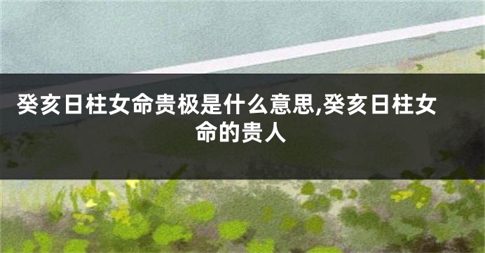 癸亥日柱女命贵极是什么意思,癸亥日柱女命的贵人
