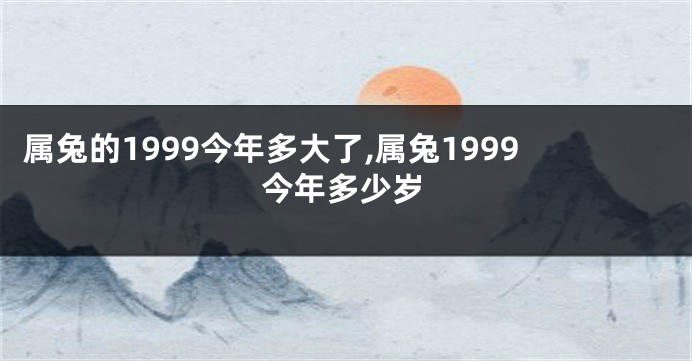 属兔的1999今年多大了,属兔1999今年多少岁
