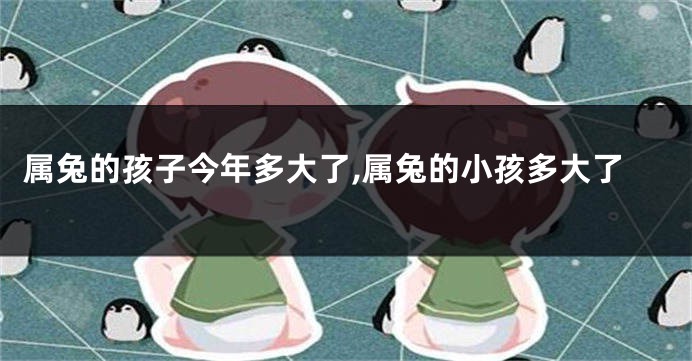 属兔的孩子今年多大了,属兔的小孩多大了
