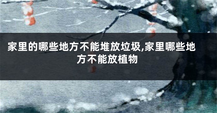 家里的哪些地方不能堆放垃圾,家里哪些地方不能放植物