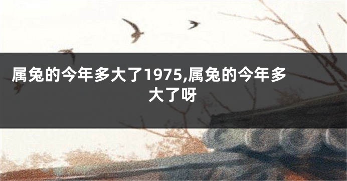 属兔的今年多大了1975,属兔的今年多大了呀