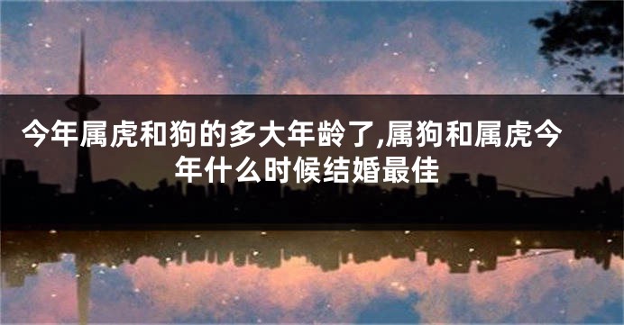 今年属虎和狗的多大年龄了,属狗和属虎今年什么时候结婚最佳