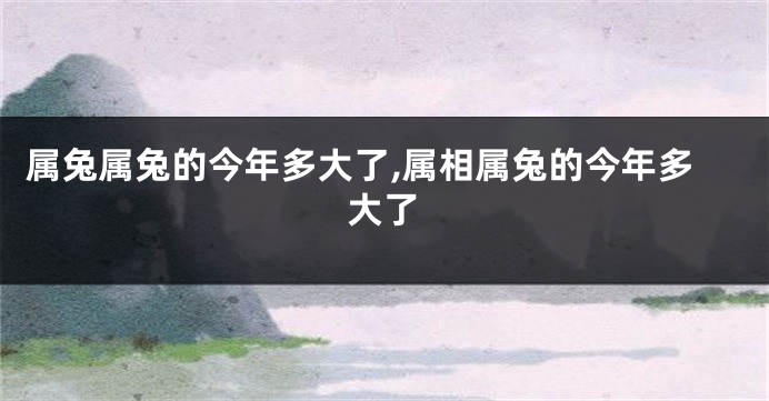 属兔属兔的今年多大了,属相属兔的今年多大了