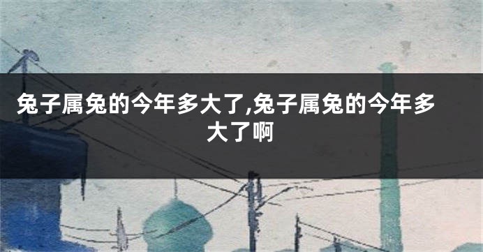 兔子属兔的今年多大了,兔子属兔的今年多大了啊