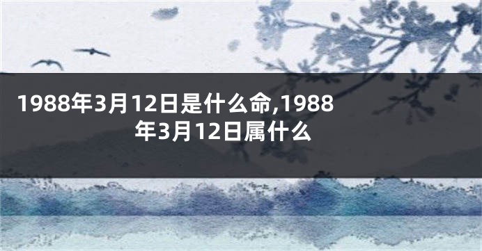 1988年3月12日是什么命,1988年3月12日属什么