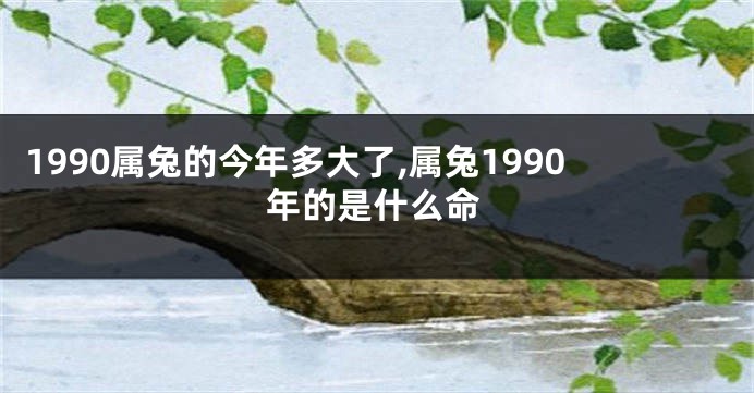 1990属兔的今年多大了,属兔1990年的是什么命