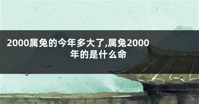 2000属兔的今年多大了,属兔2000年的是什么命