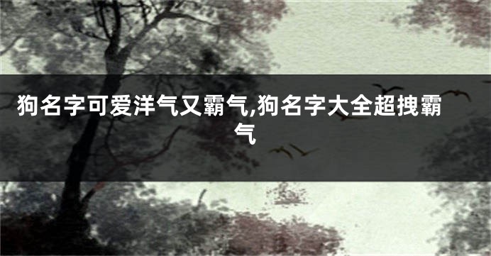 狗名字可爱洋气又霸气,狗名字大全超拽霸气