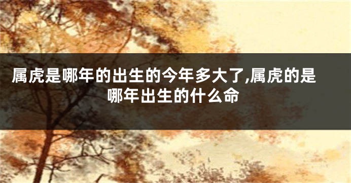 属虎是哪年的出生的今年多大了,属虎的是哪年出生的什么命