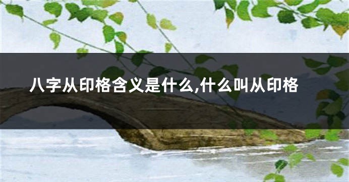 八字从印格含义是什么,什么叫从印格