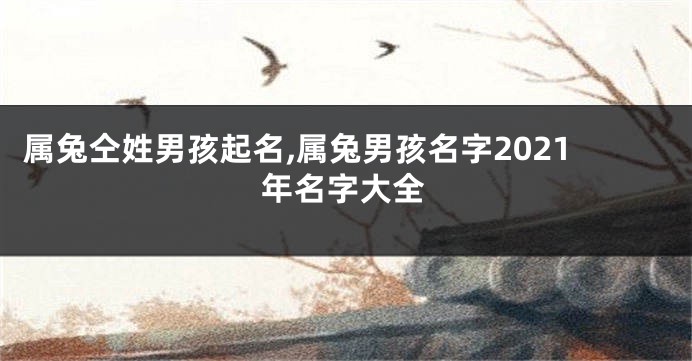 属兔仝姓男孩起名,属兔男孩名字2021年名字大全