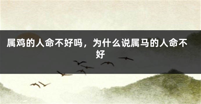 属鸡的人命不好吗，为什么说属马的人命不好