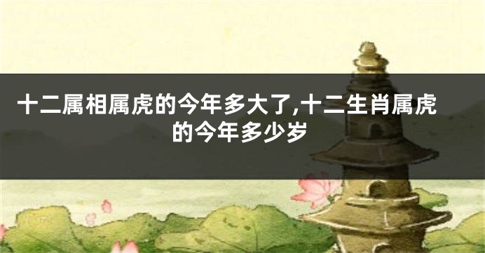 十二属相属虎的今年多大了,十二生肖属虎的今年多少岁