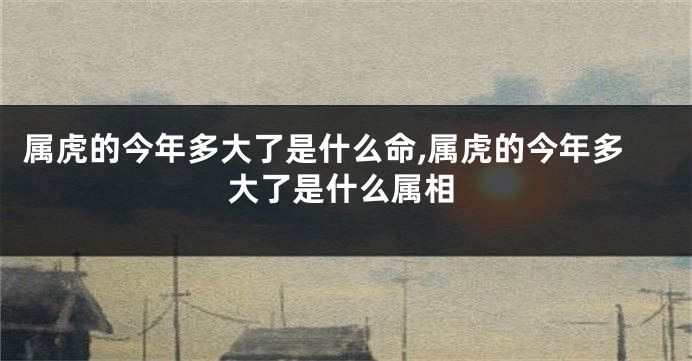 属虎的今年多大了是什么命,属虎的今年多大了是什么属相