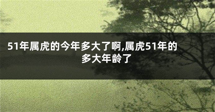 51年属虎的今年多大了啊,属虎51年的多大年龄了