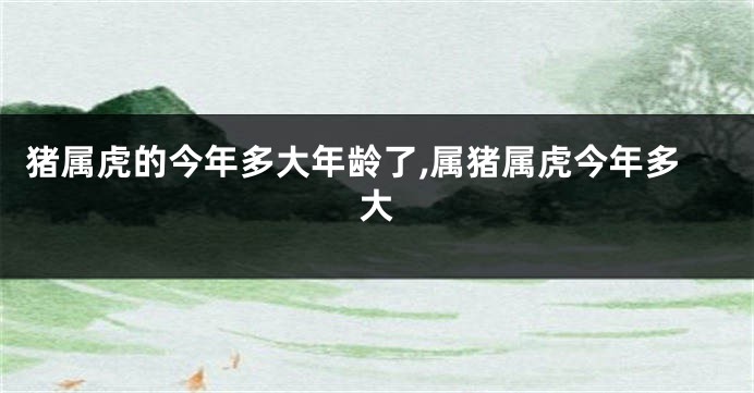 猪属虎的今年多大年龄了,属猪属虎今年多大