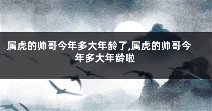 属虎的帅哥今年多大年龄了,属虎的帅哥今年多大年龄啦
