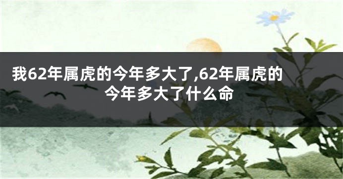 我62年属虎的今年多大了,62年属虎的今年多大了什么命
