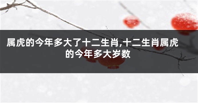 属虎的今年多大了十二生肖,十二生肖属虎的今年多大岁数