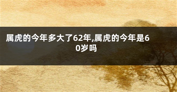 属虎的今年多大了62年,属虎的今年是60岁吗