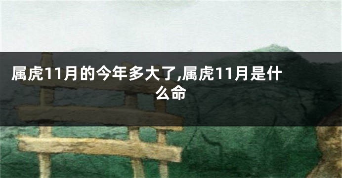 属虎11月的今年多大了,属虎11月是什么命