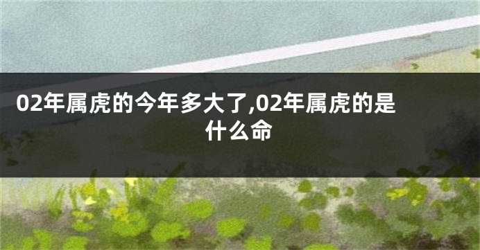02年属虎的今年多大了,02年属虎的是什么命